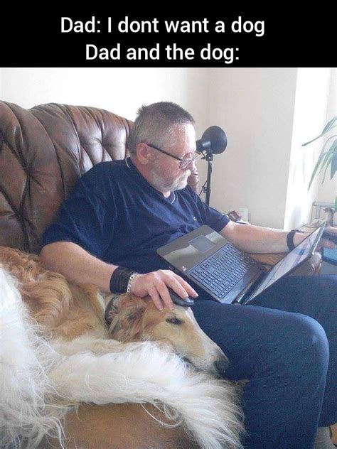 dog dad gif|dog dad memes.